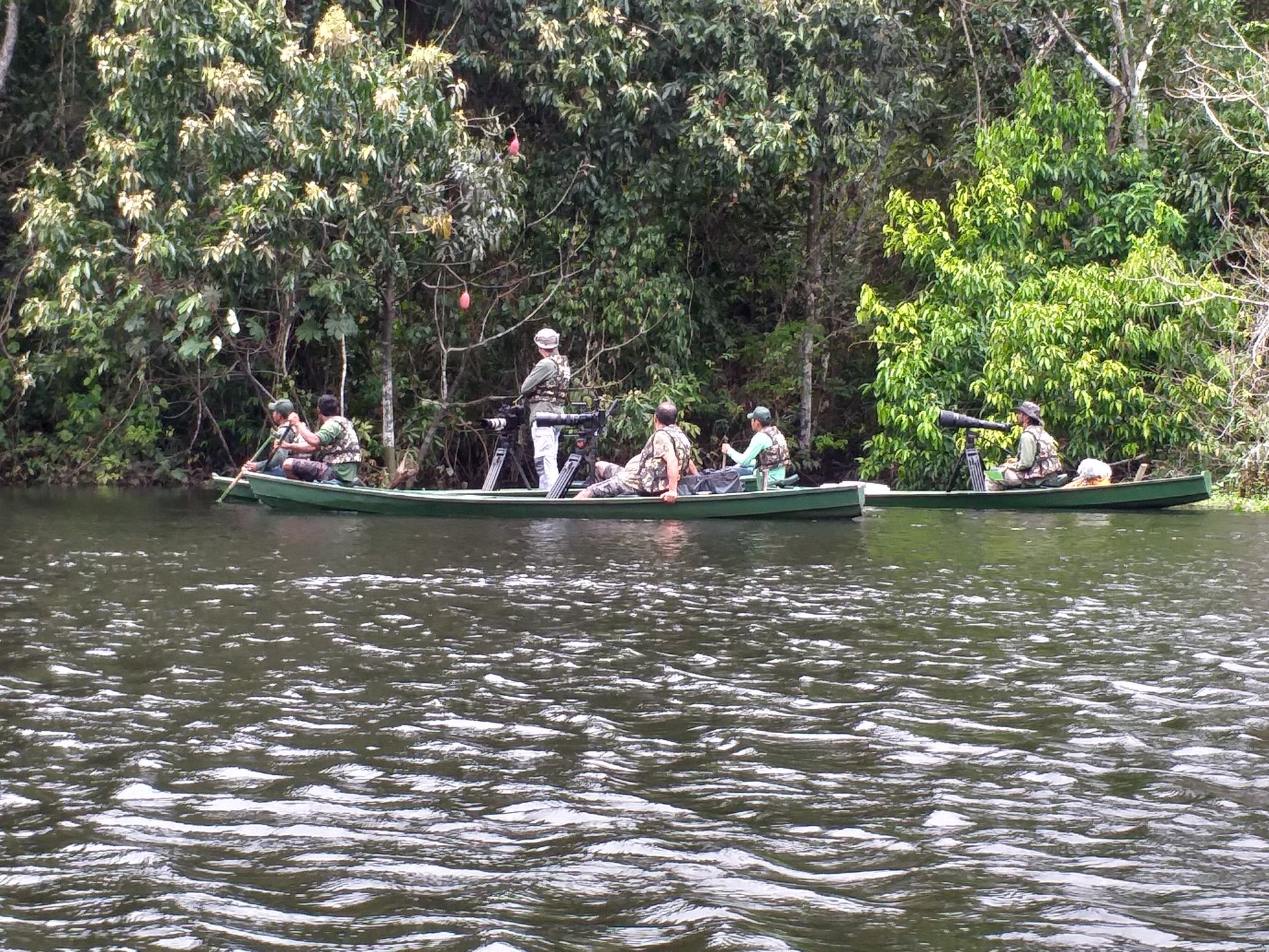 Birdwatching expedition on the river — two canoes with naturalists and telescopes