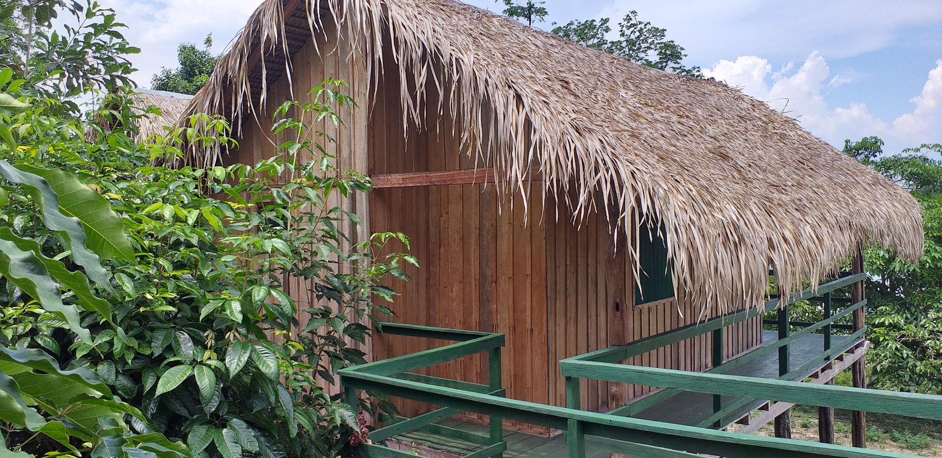 Thatched-roof jungle lodge cabin surrounded by Amazon rainforest