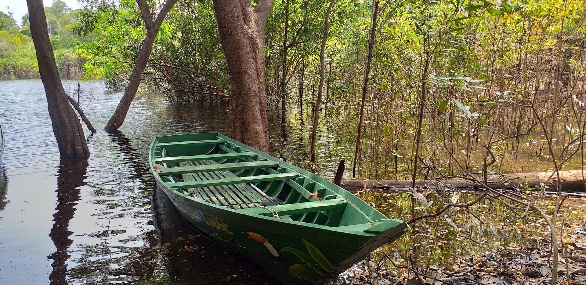 Traditional wooden canoe on a black-water river tributary near the Amazon Lodge