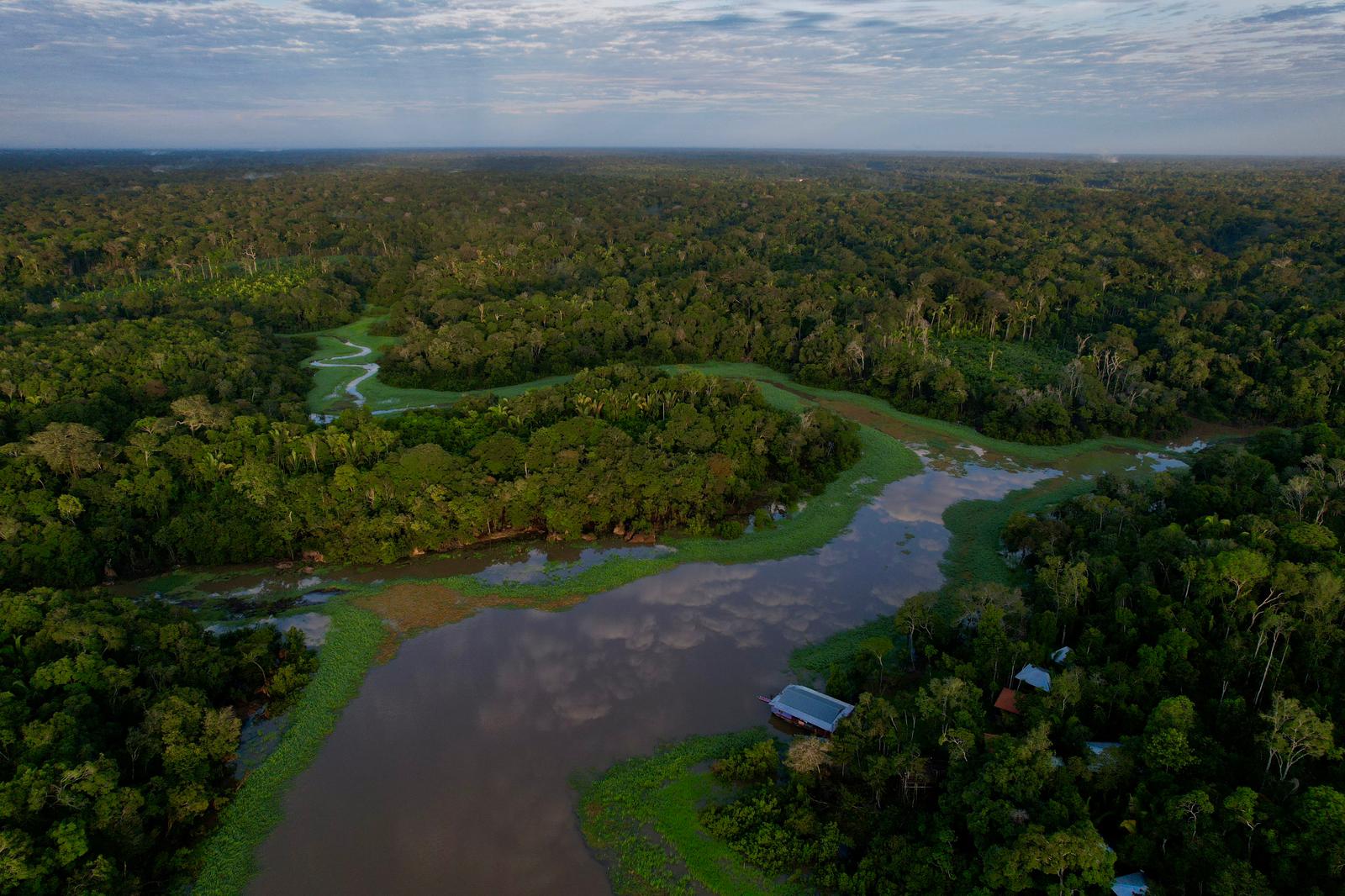 Amazon jungle lodge at the river's edge — boat access only