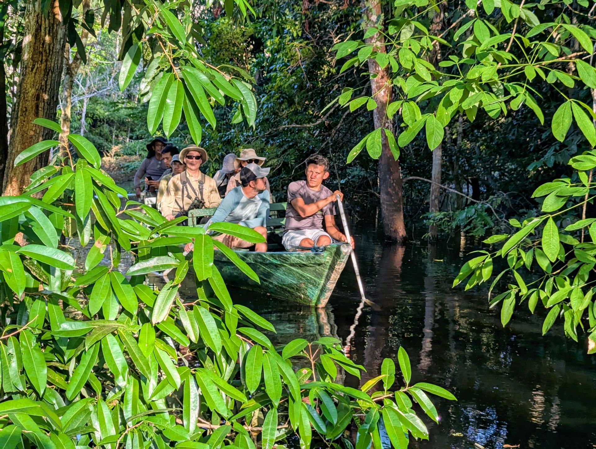 Tourists on a boat moving through the Igapó flooded forest on the Amazon Explorers 5-day tour from Manaus