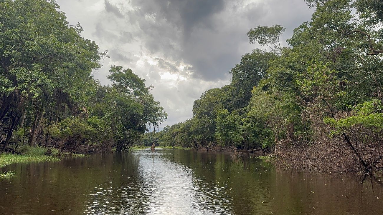 Motorized canoe on the Ariau River on the Ariau River and Rio Negro day tour from Manaus