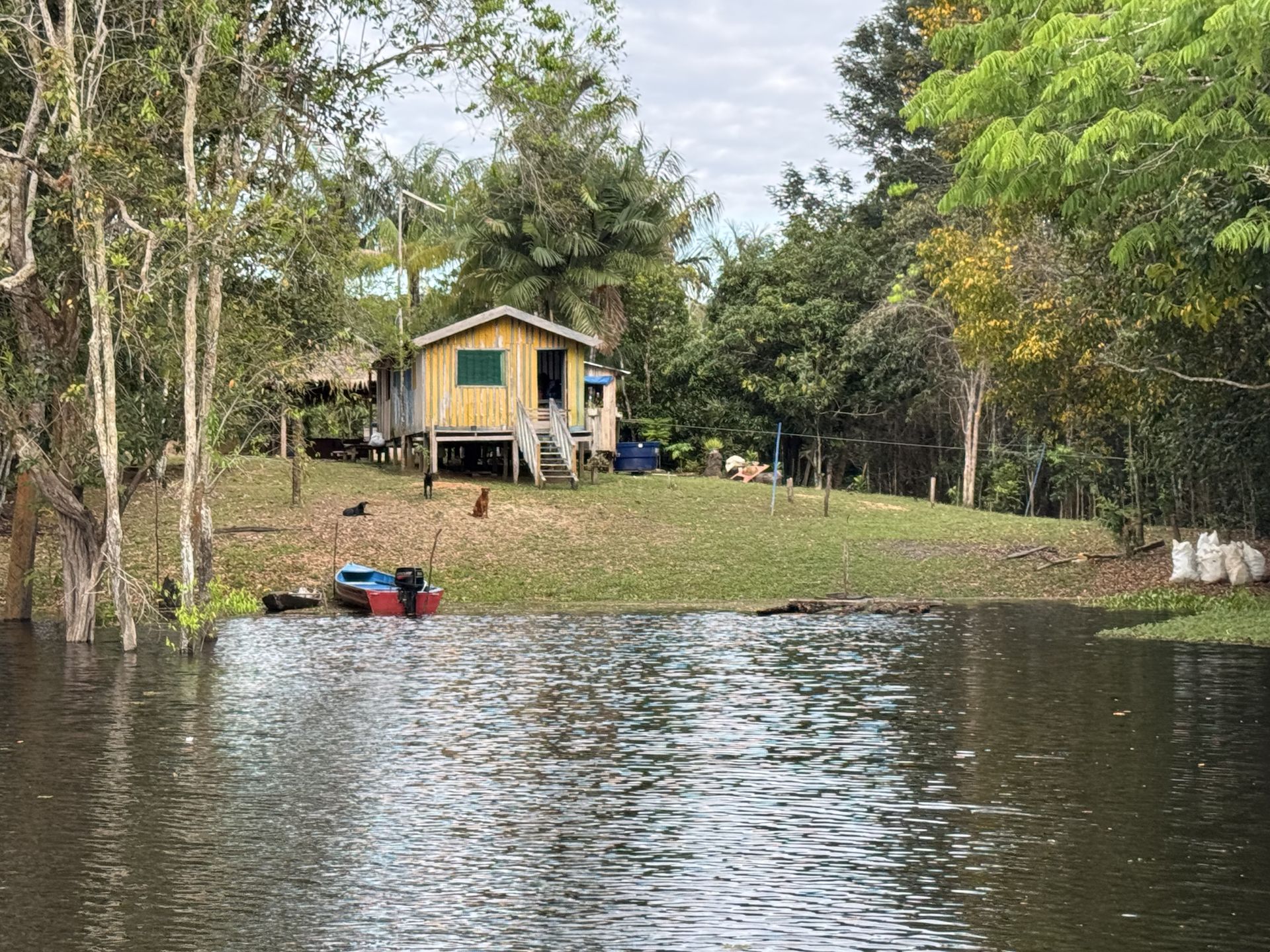 Traditional Amazon riverside community — stilt house on the river, jungle behind