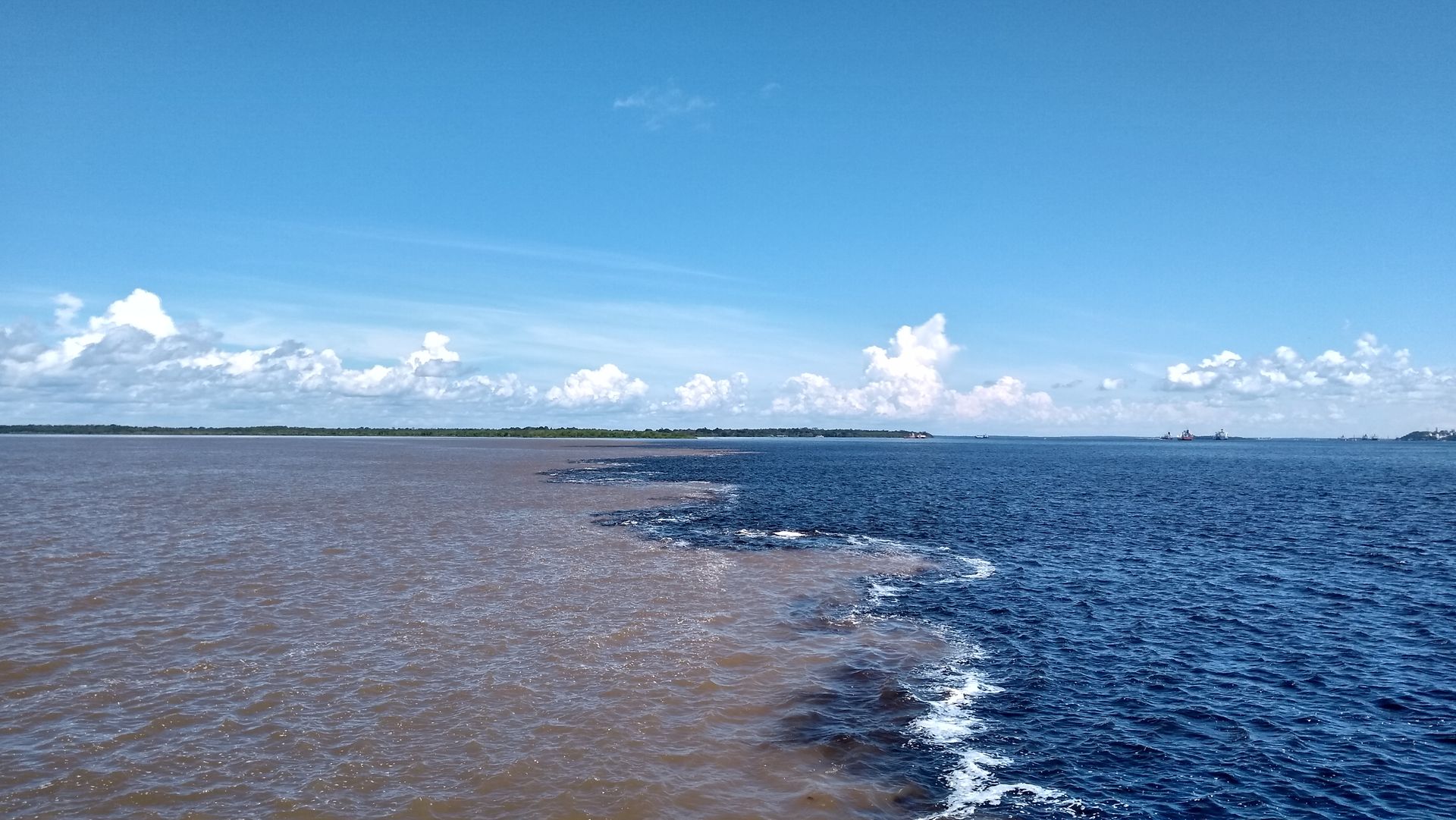 The Meeting of the Waters near Manaus — dark Rio Negro alongside pale Solimões