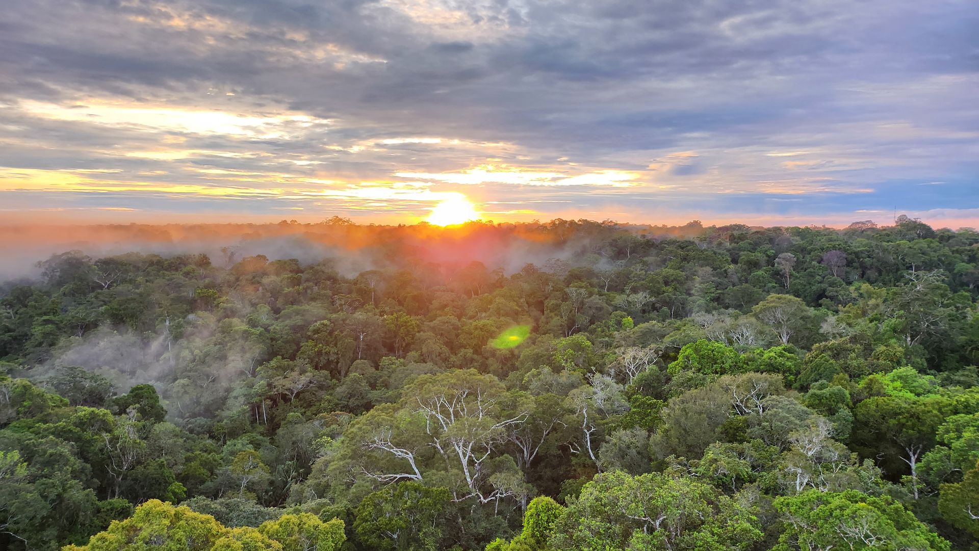 Sunrise mist over the Amazon canopy on the Amazon Expedition 6-day deep forest tour from Manaus