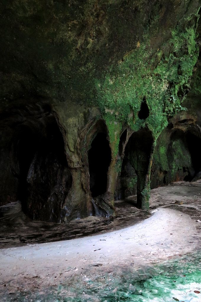 Cathedral-like interior of Caverna do Maroaga with moss-covered sandstone arches and white sand floor, Presidente Figueiredo, Amazonas