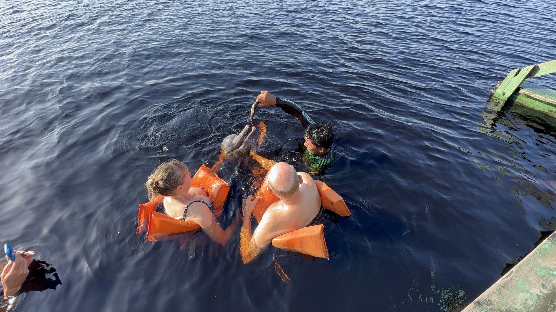 Guests swimming with pink river dolphins in the Amazon